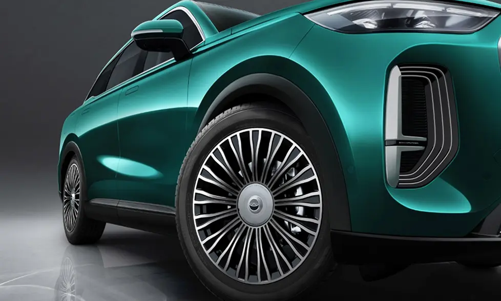 Extra-large 20-inch Multi-spoke Wheels